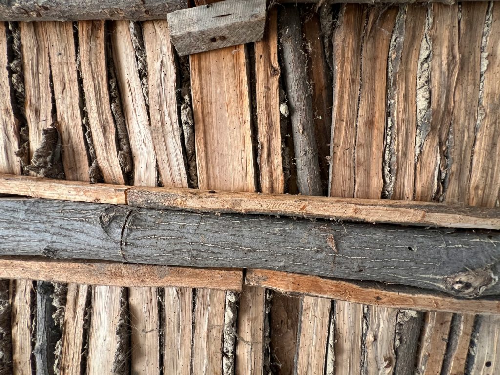 Diagnostic Termites : zones concernées